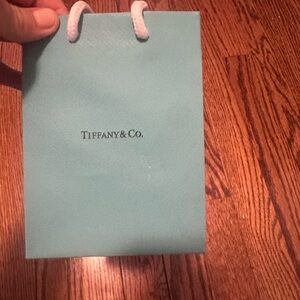 Tiffany & Co. Robin's Egg Blue Gift Bag with White Rope Handles